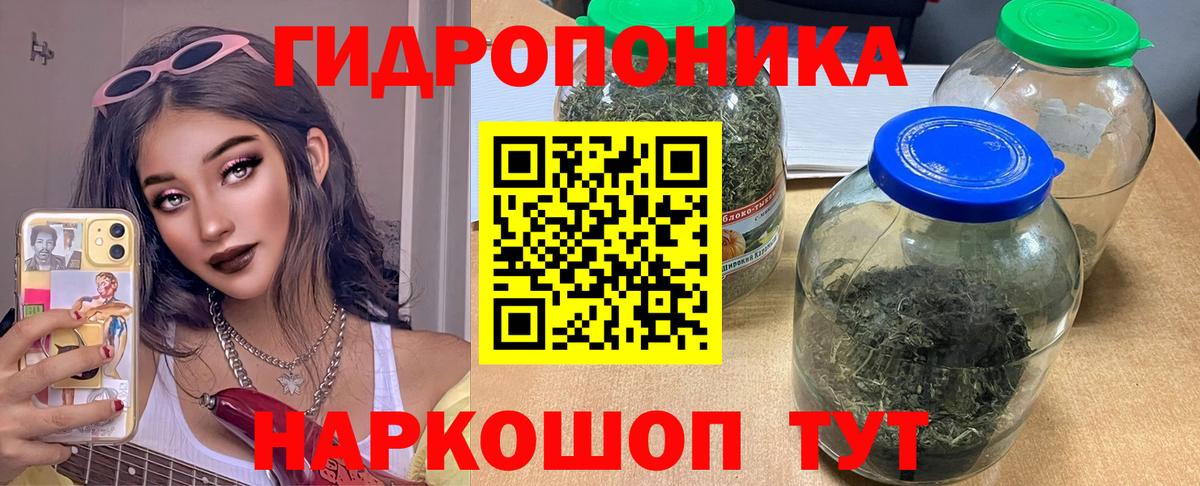 Конопля VHQ  Вход с VPN  Елец  Каннабис Amnesia  Каннабис сатива 